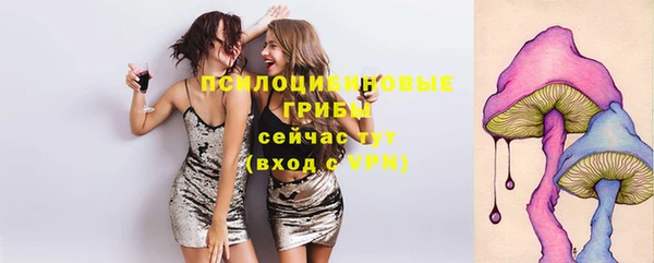 молекула духа Арсеньев