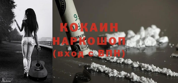 молекула духа Арсеньев