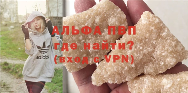 молекула духа Арсеньев