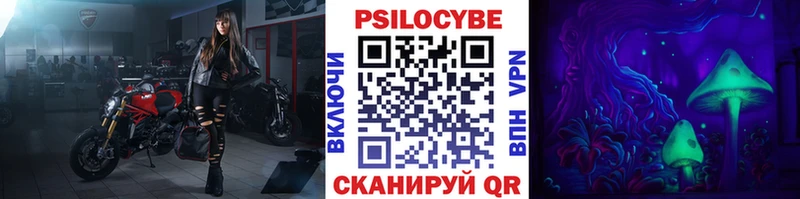 Купить где  Белебей  Псилоцибиновые грибы Psilocybine cubensis 